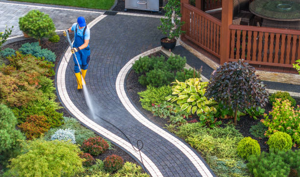 Best Commercial Building Pressure Washing  in Leon Valley, TX